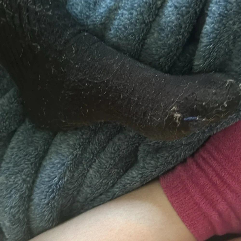 Taco munchers unwashed stinky socks (comes with the feet)